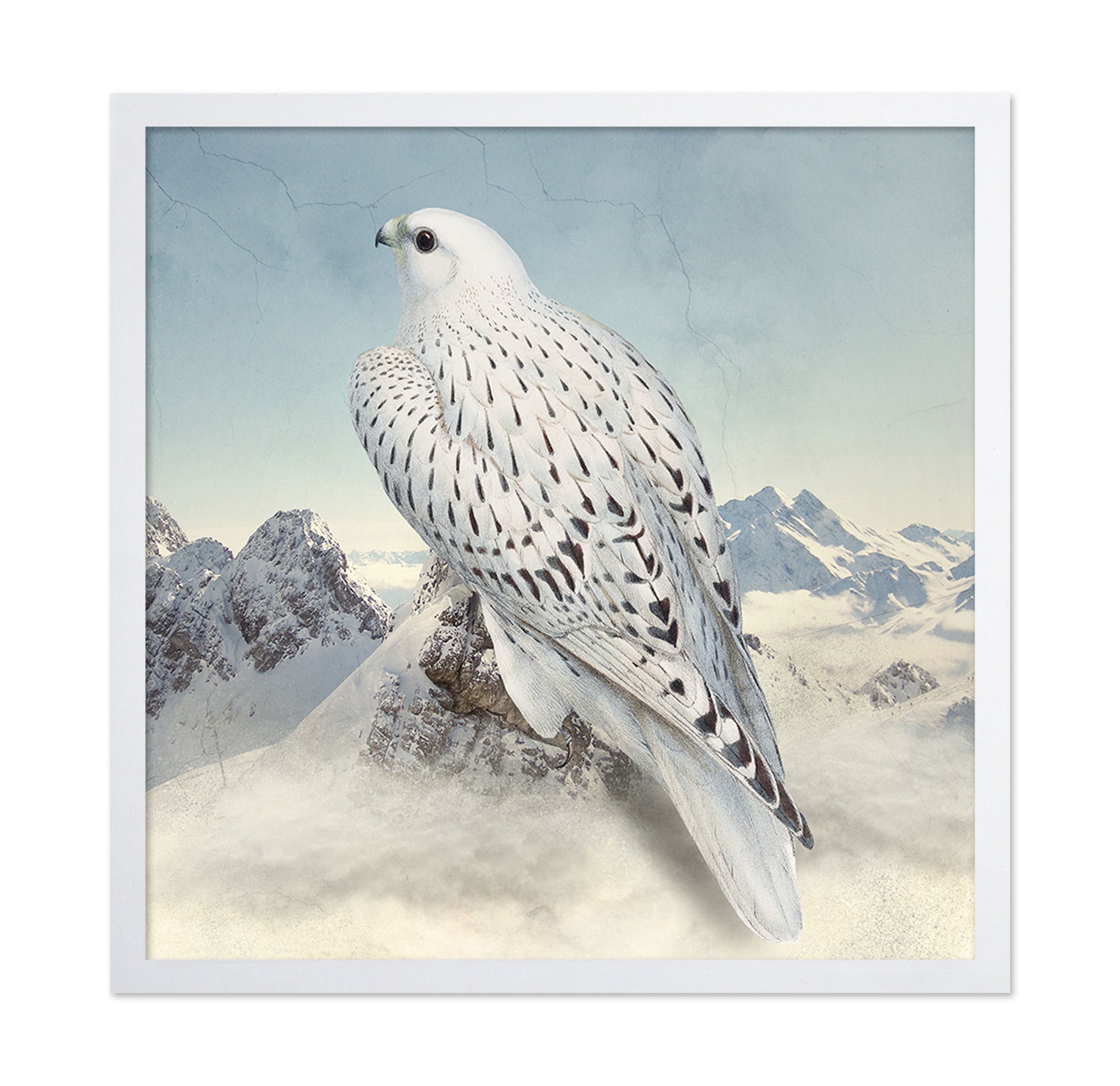 Snowy Falcon Peaks