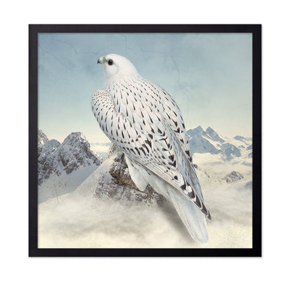 Snowy Falcon Peaks