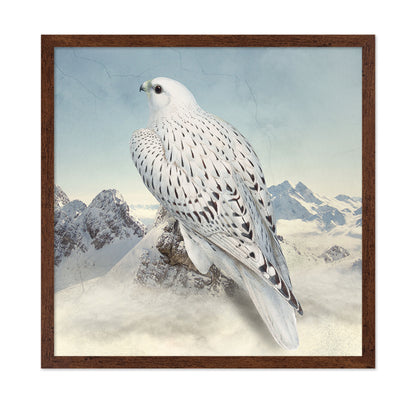 Snowy Falcon Peaks