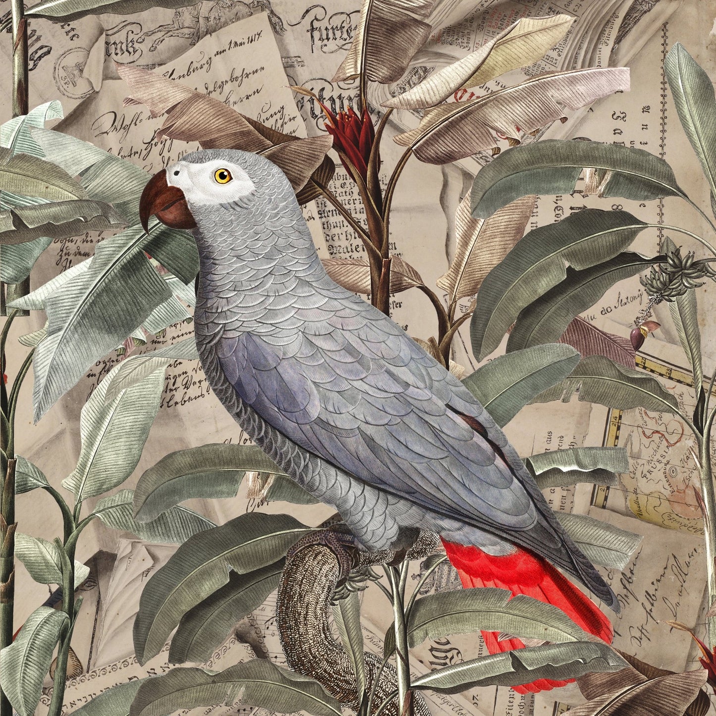 Vintage Parrot Collage