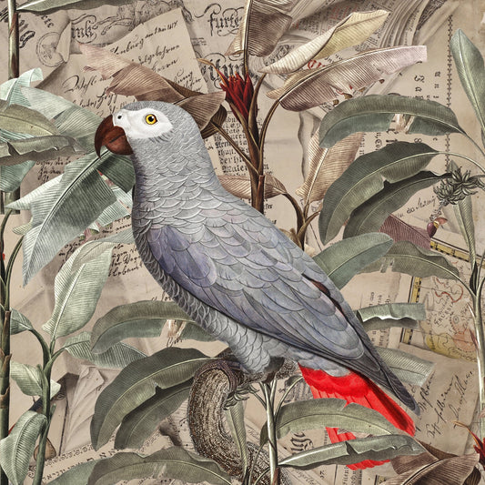Vintage Parrot Collage