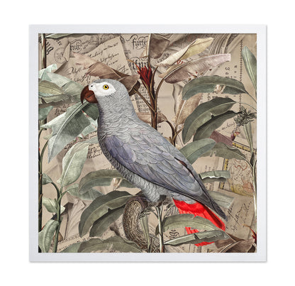 Vintage Parrot Collage
