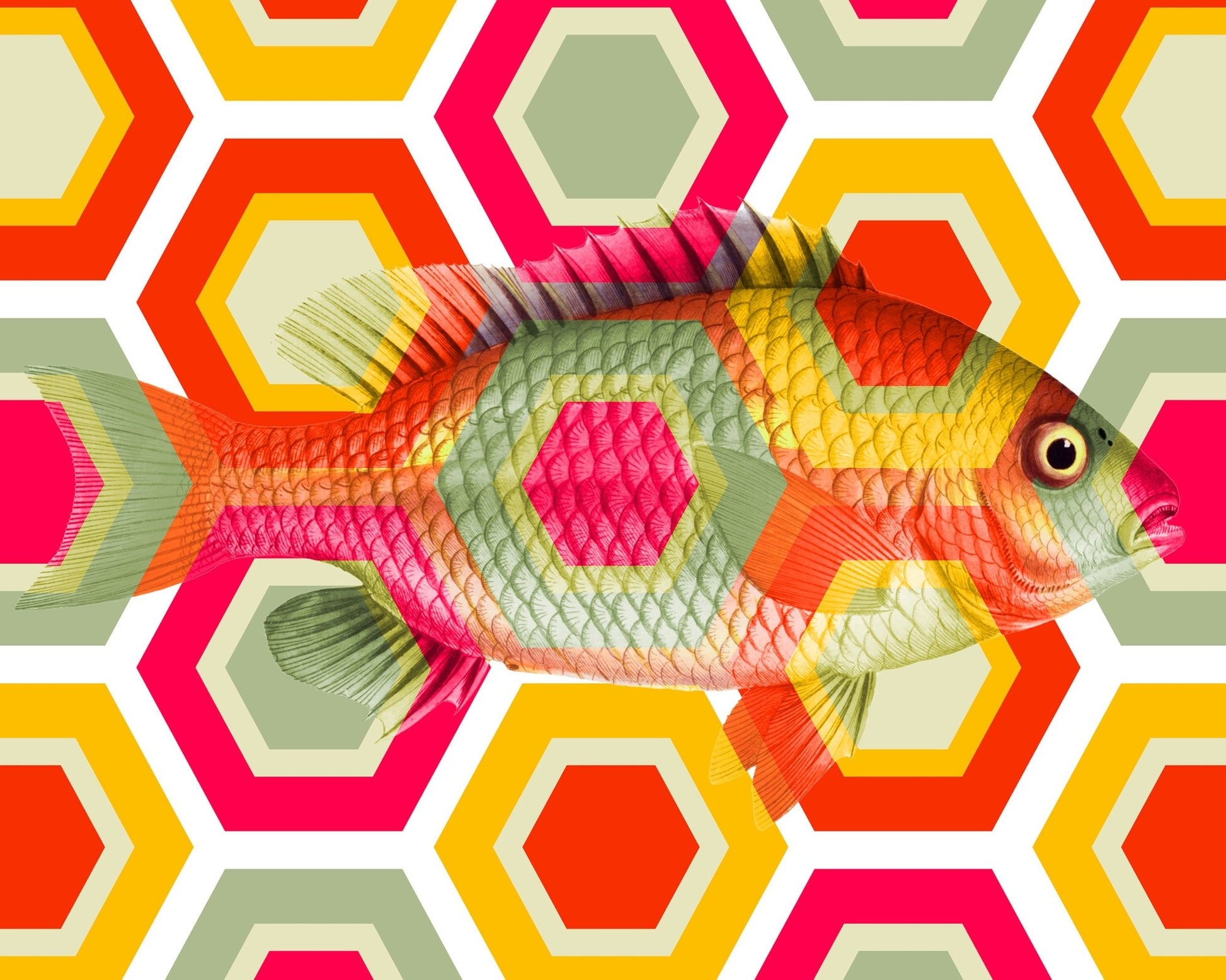 Geometric Retro Fish