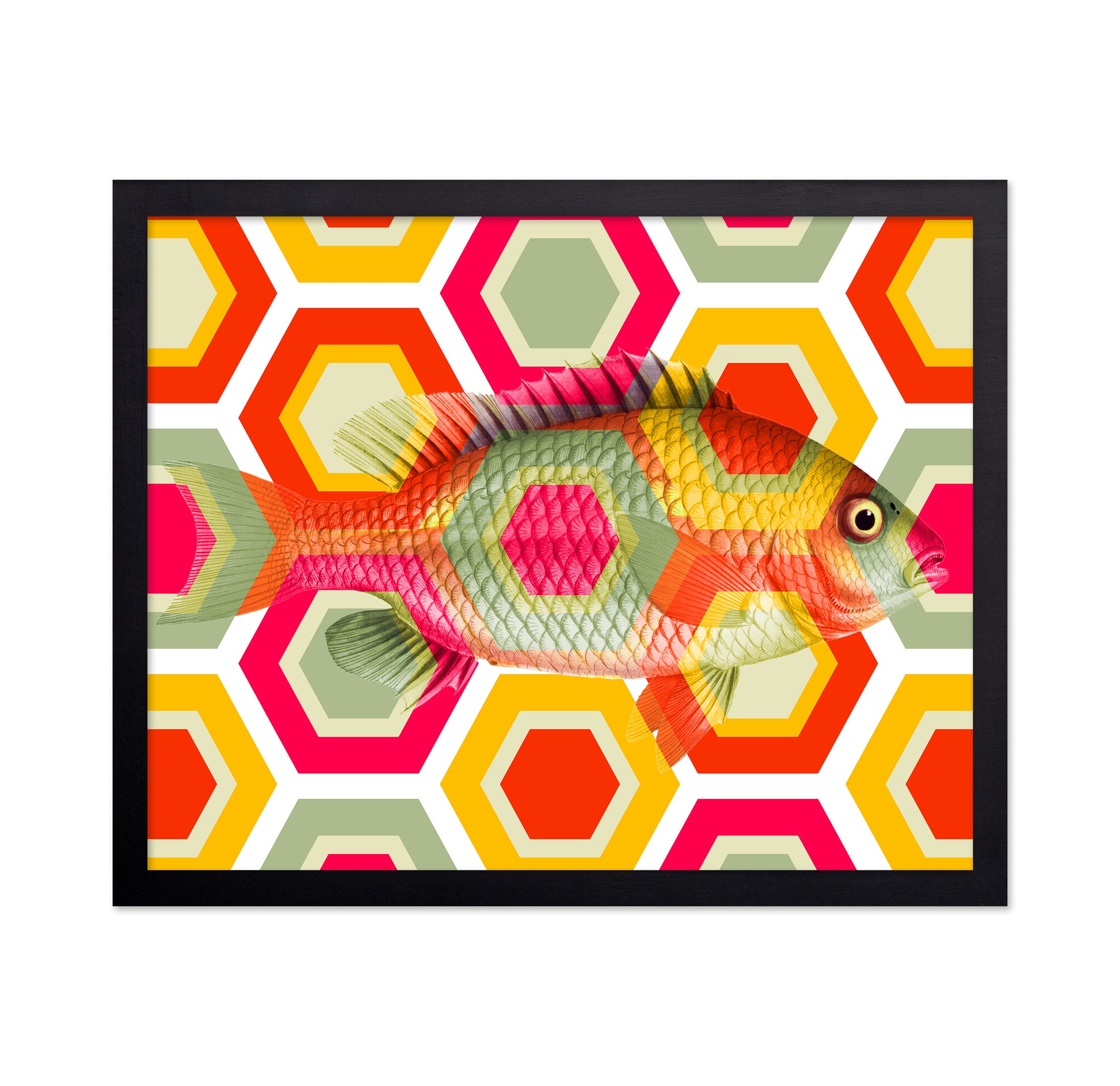Geometric Retro Fish