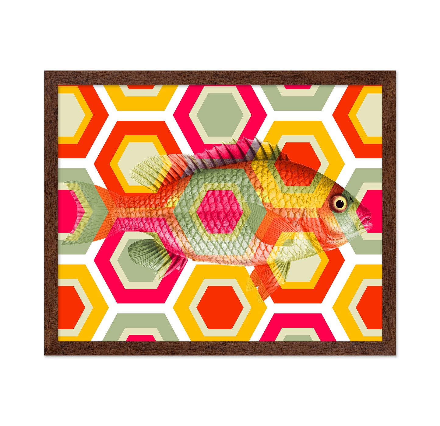 Geometric Retro Fish
