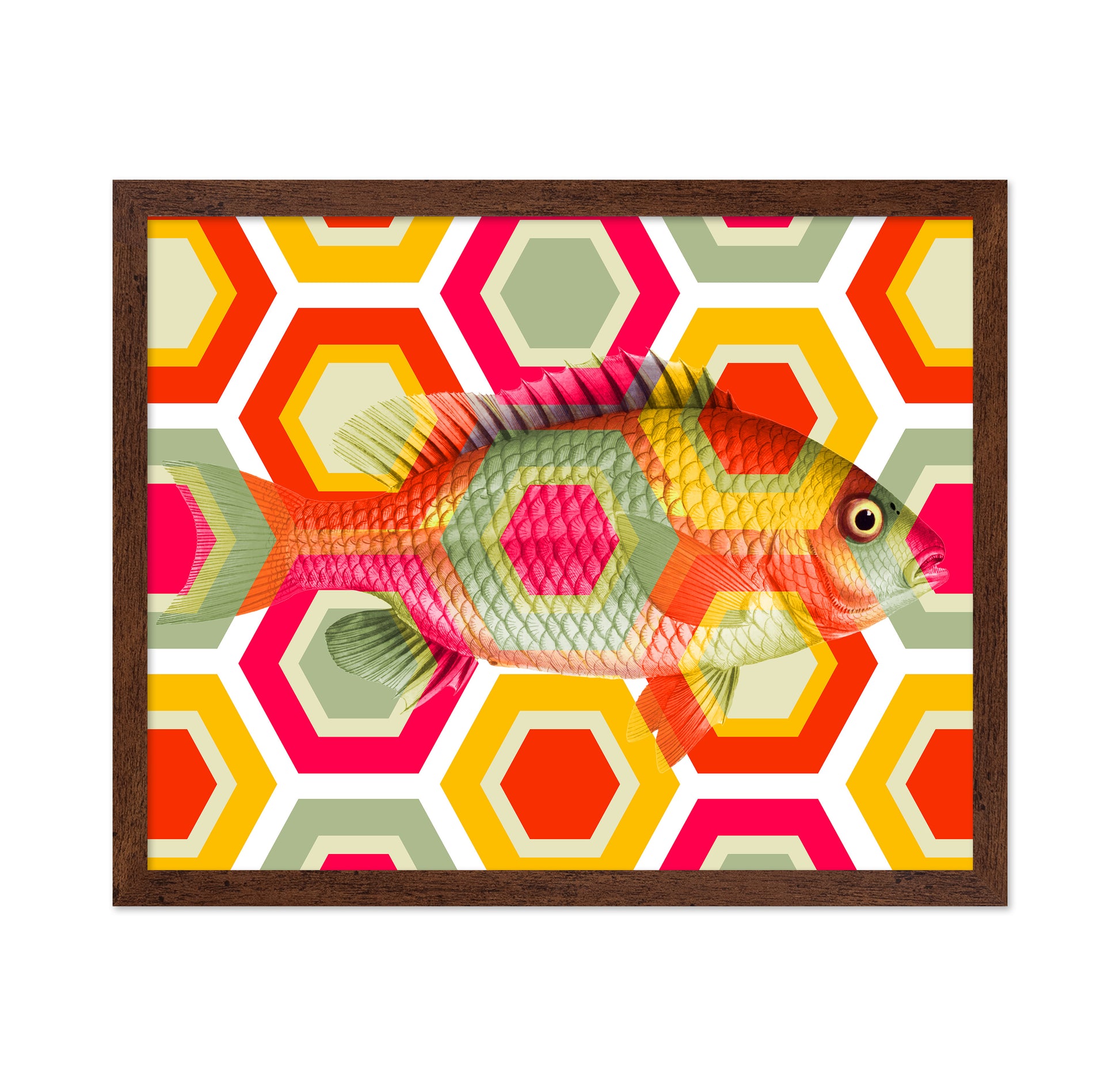 Geometric Retro Fish