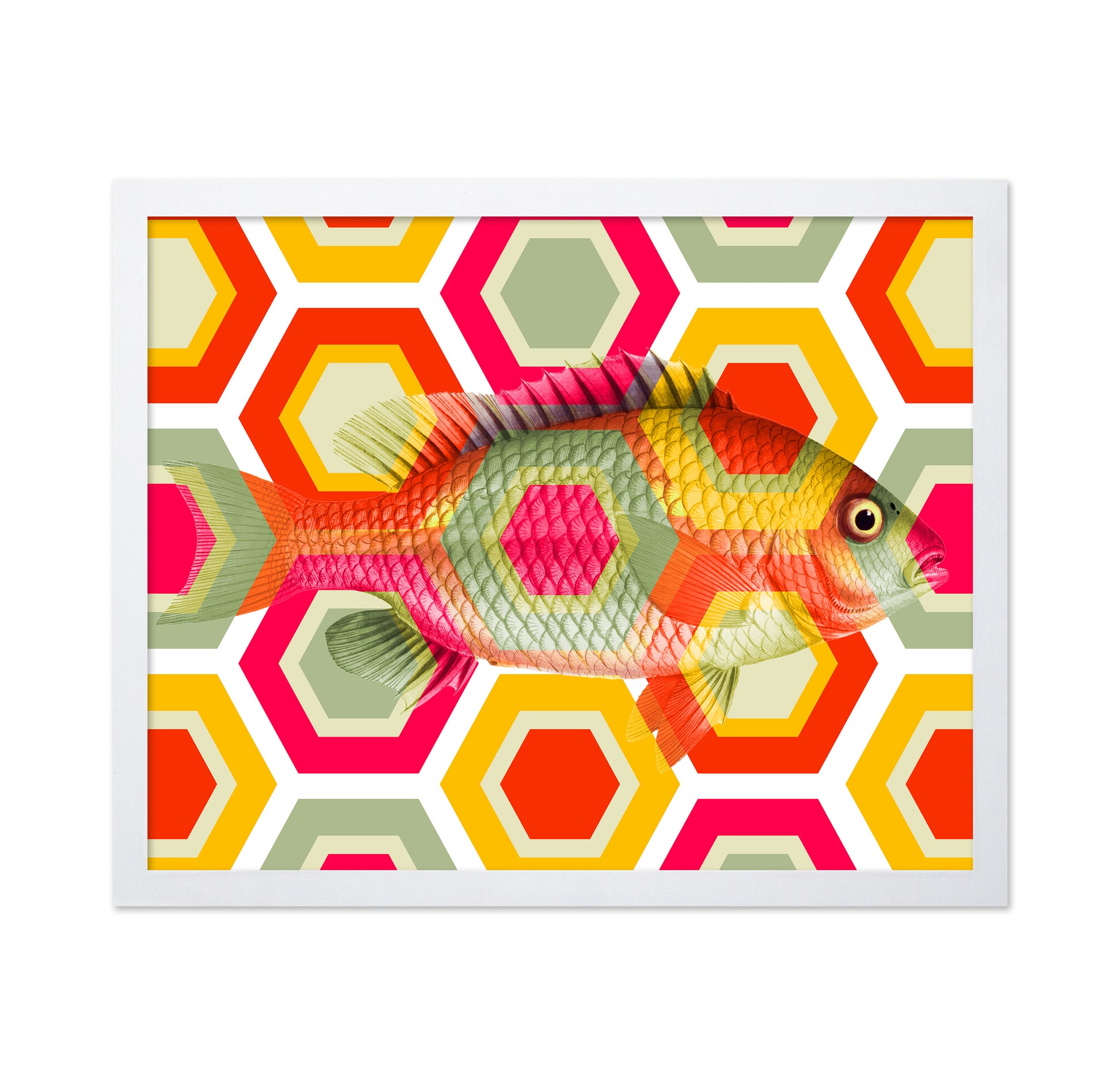 Geometric Retro Fish