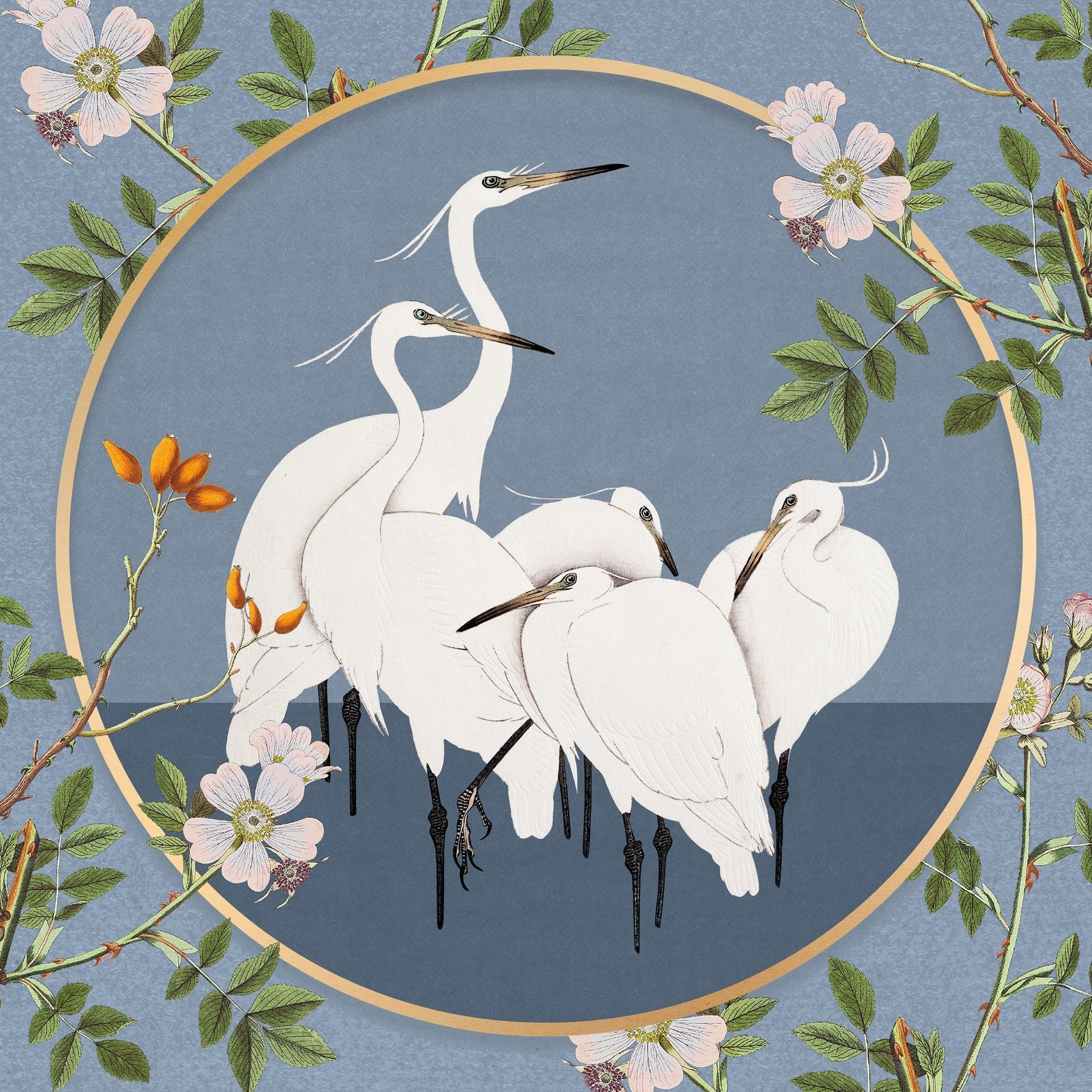 Elegant White Egrets