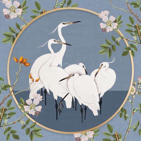 Elegant White Egrets