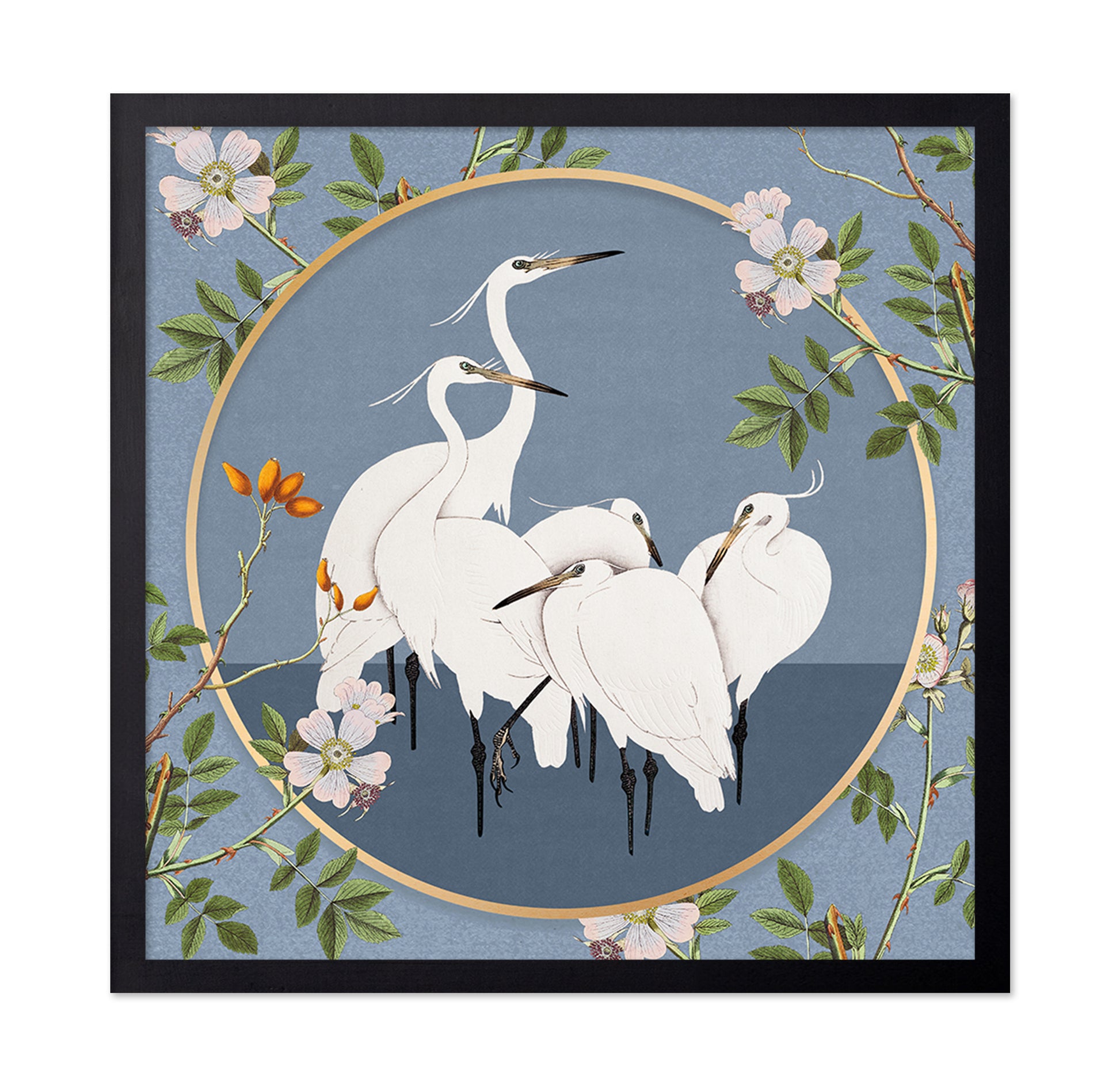 Elegant White Egrets