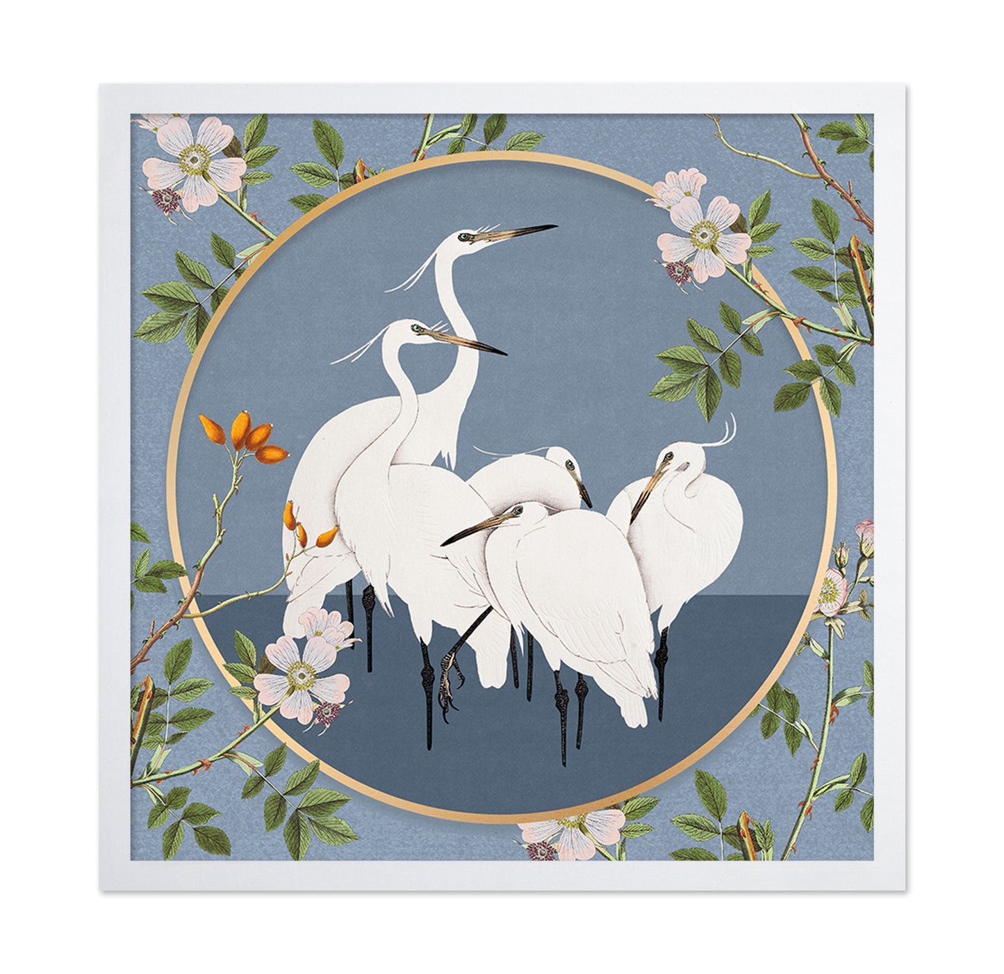 Elegant White Egrets