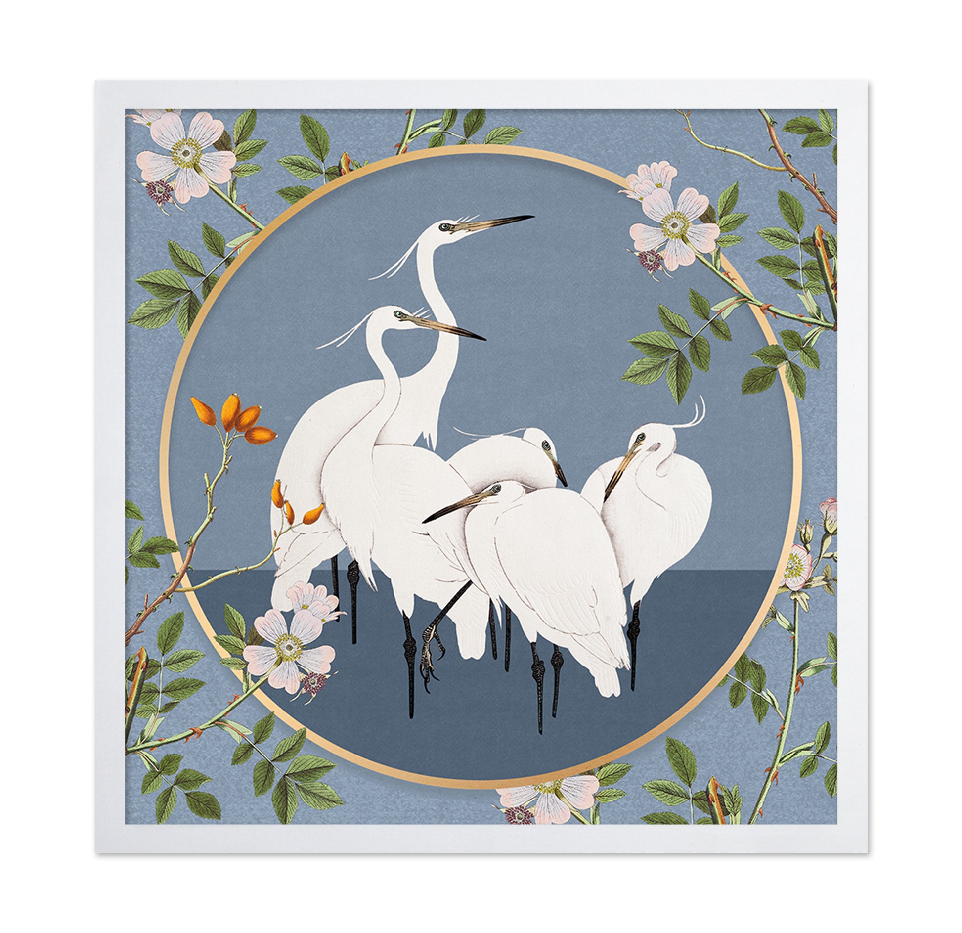 Elegant White Egrets