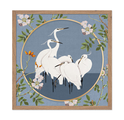 Elegant White Egrets