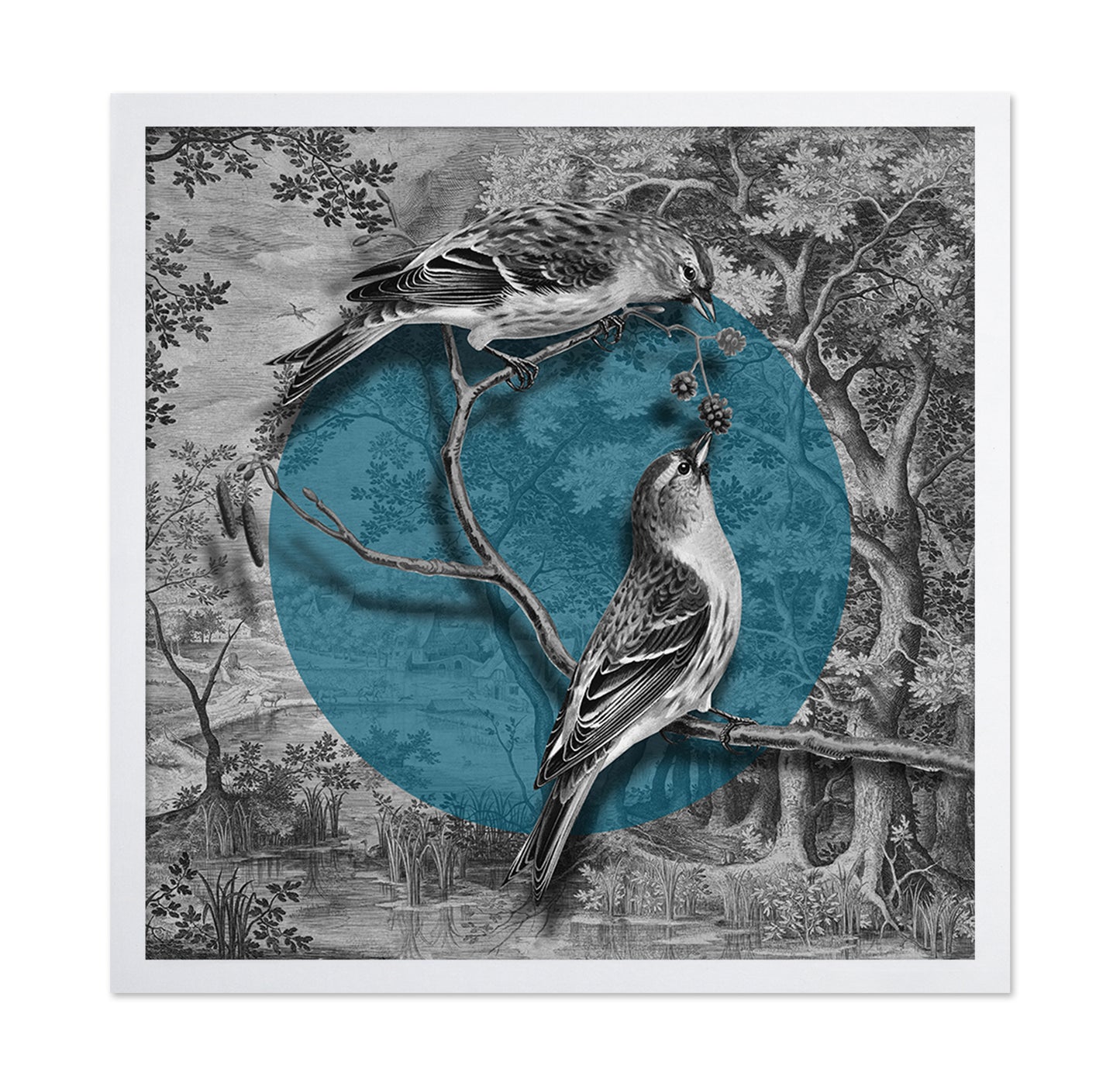 Vintage Linnet Pair