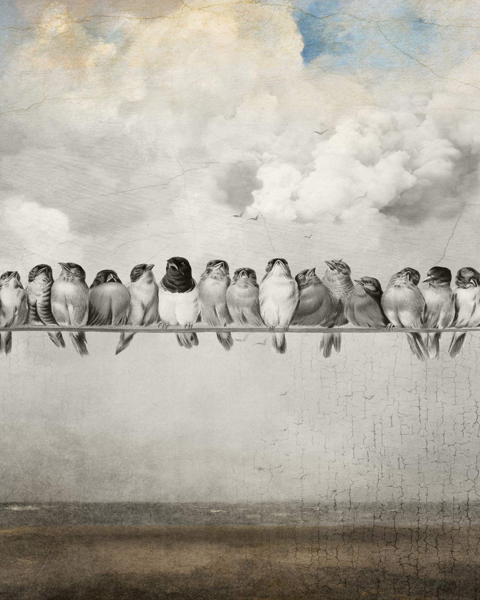 Birds On A Line
