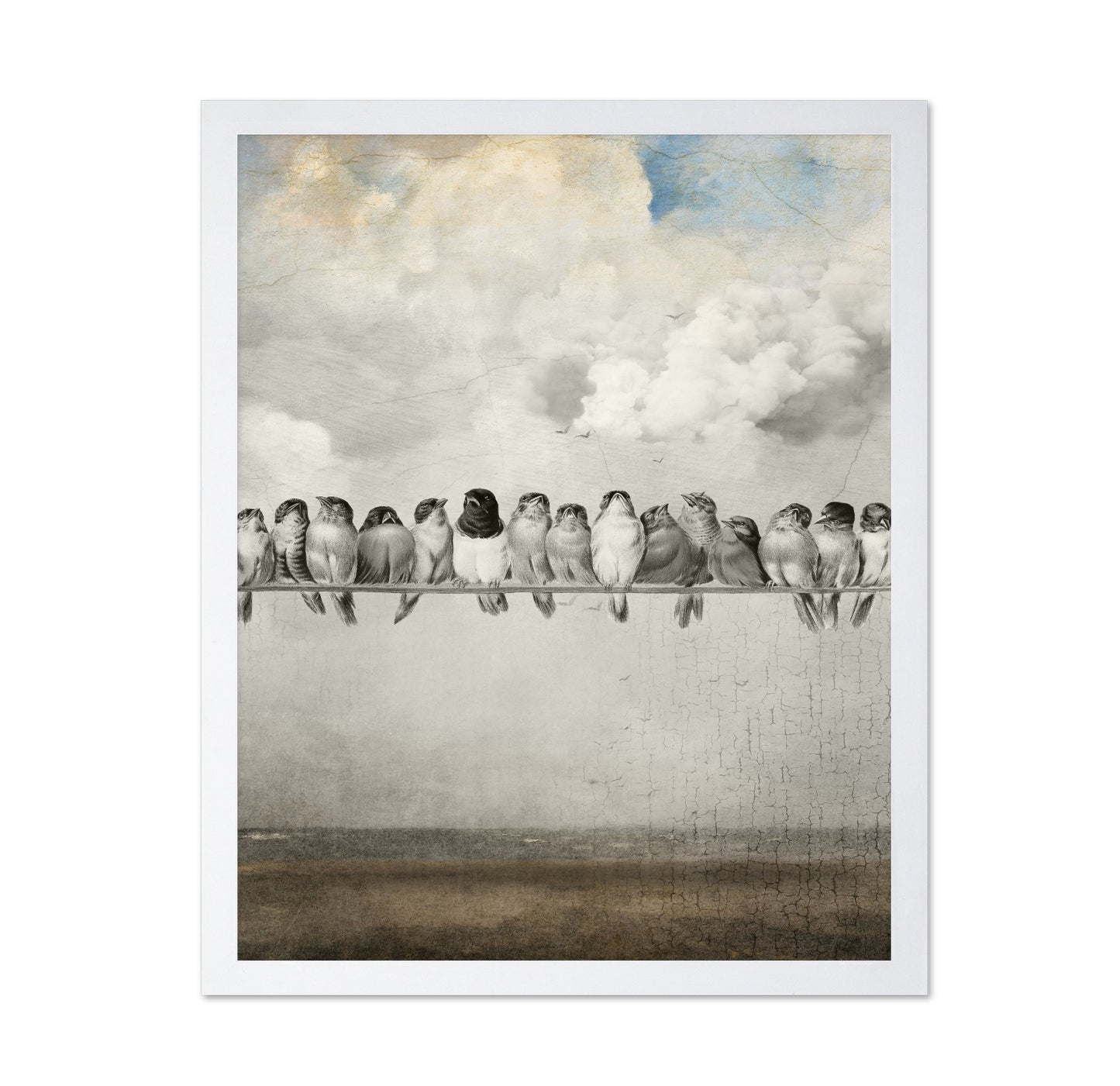 Birds On A Line