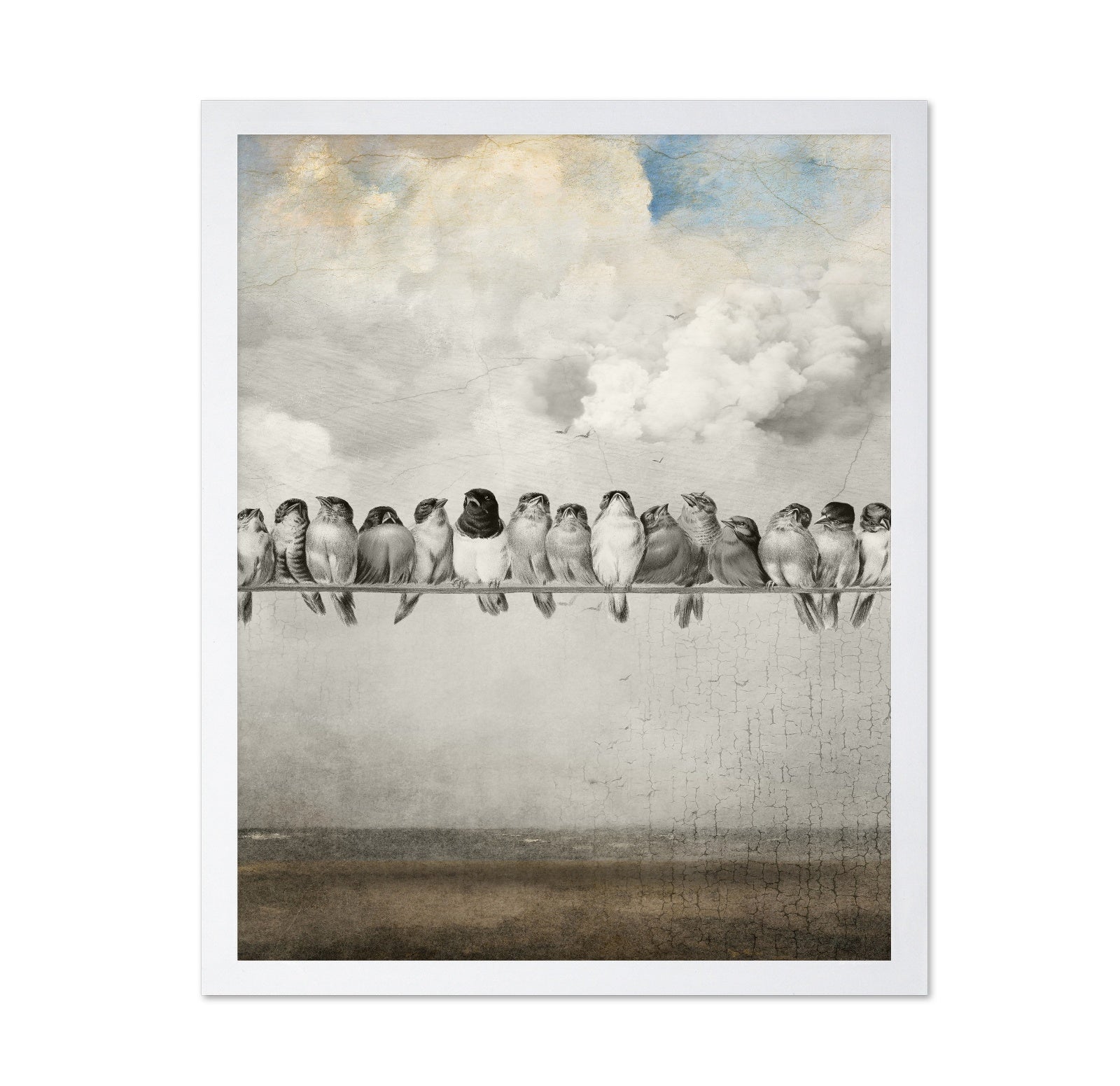 Birds On A Line