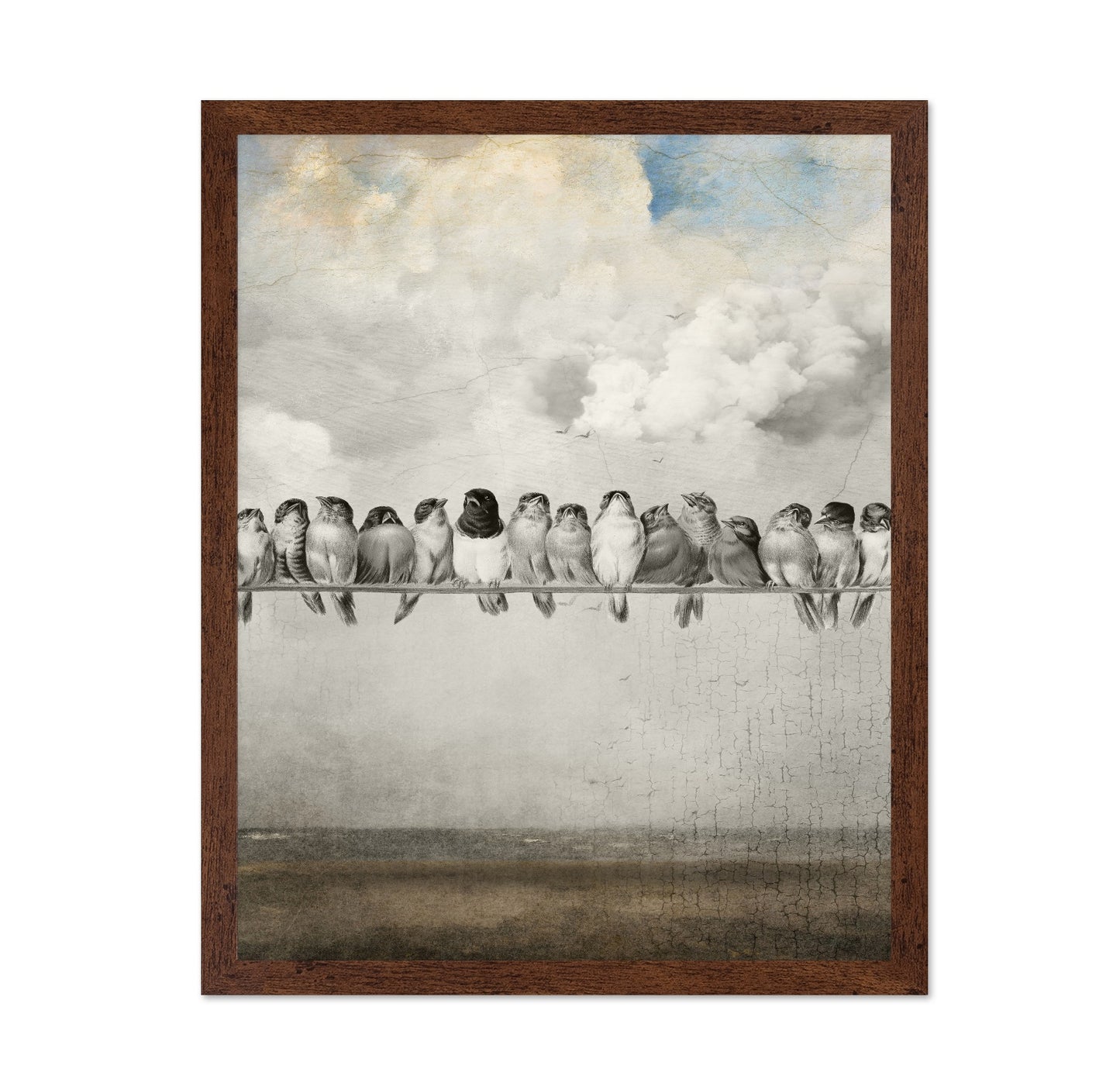 Birds On A Line