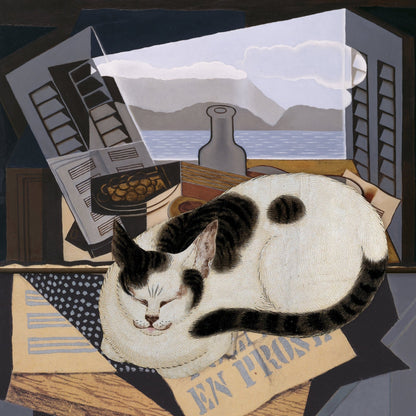 Sleeping Cat No2