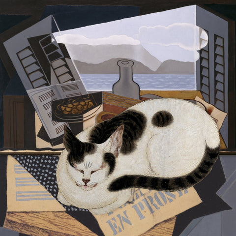 Sleeping Cat No2