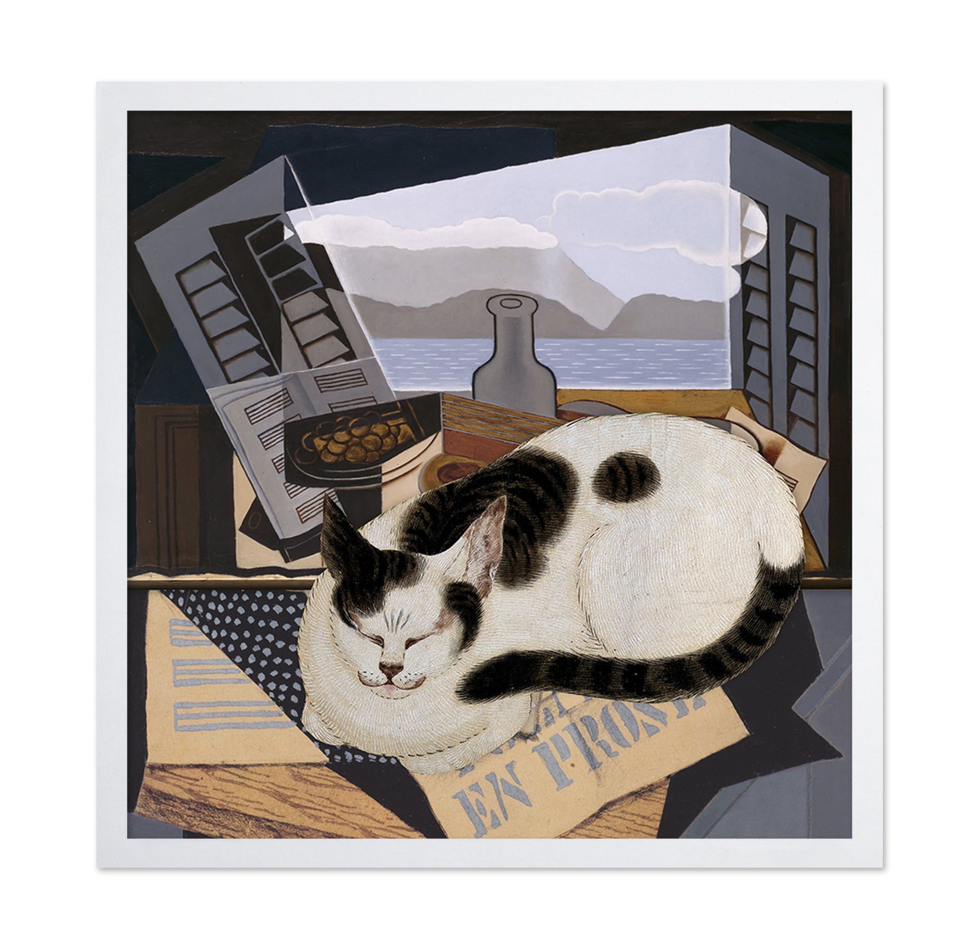 Sleeping Cat No2