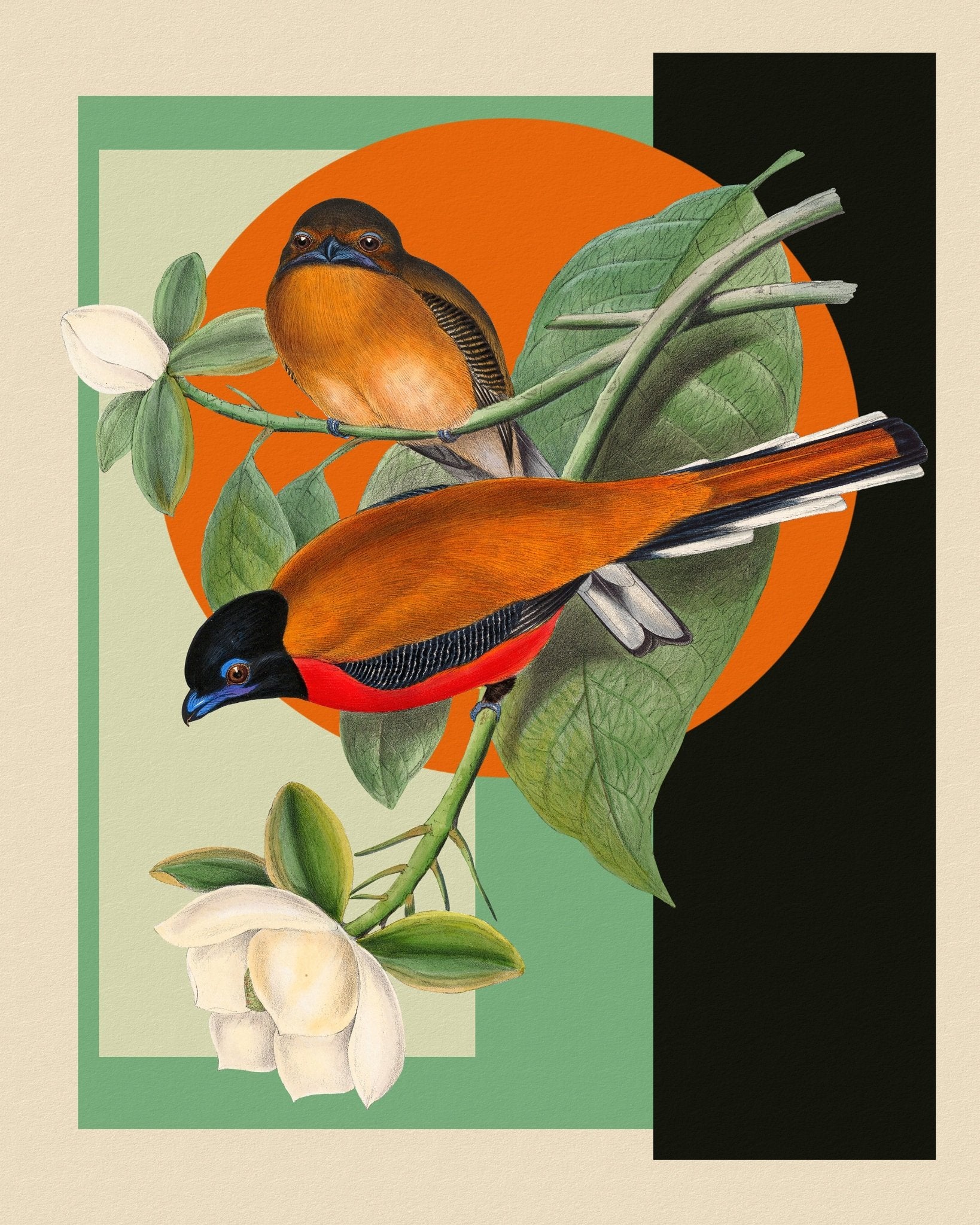 Twin Songbirds