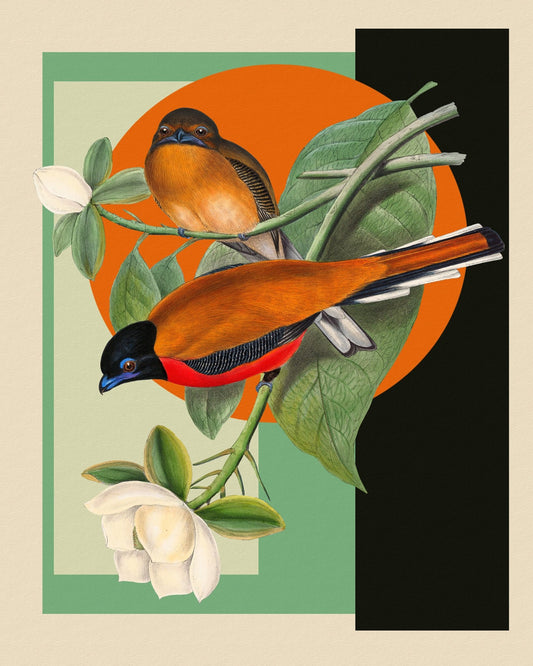 Twin Songbirds