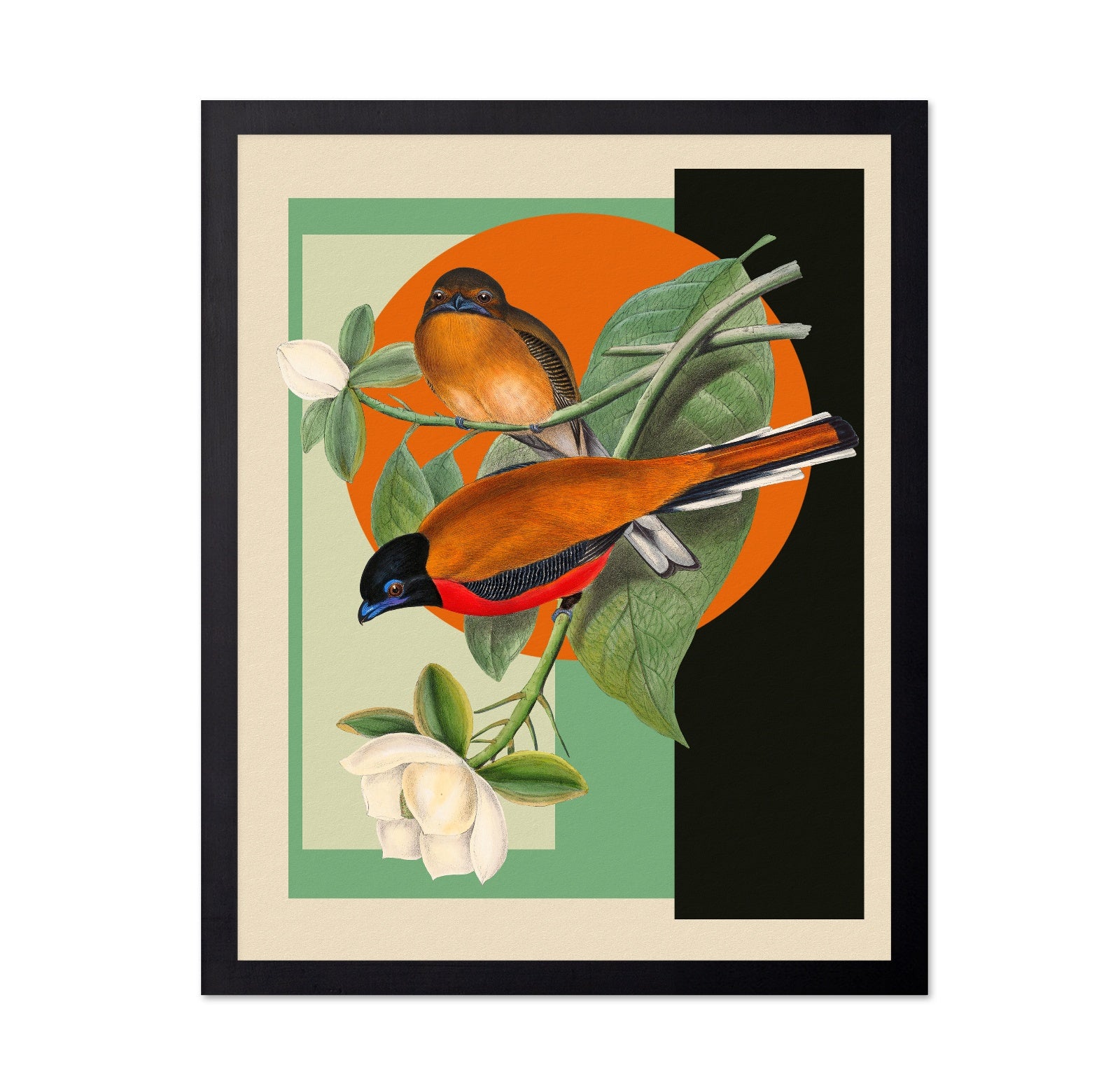 Twin Songbirds