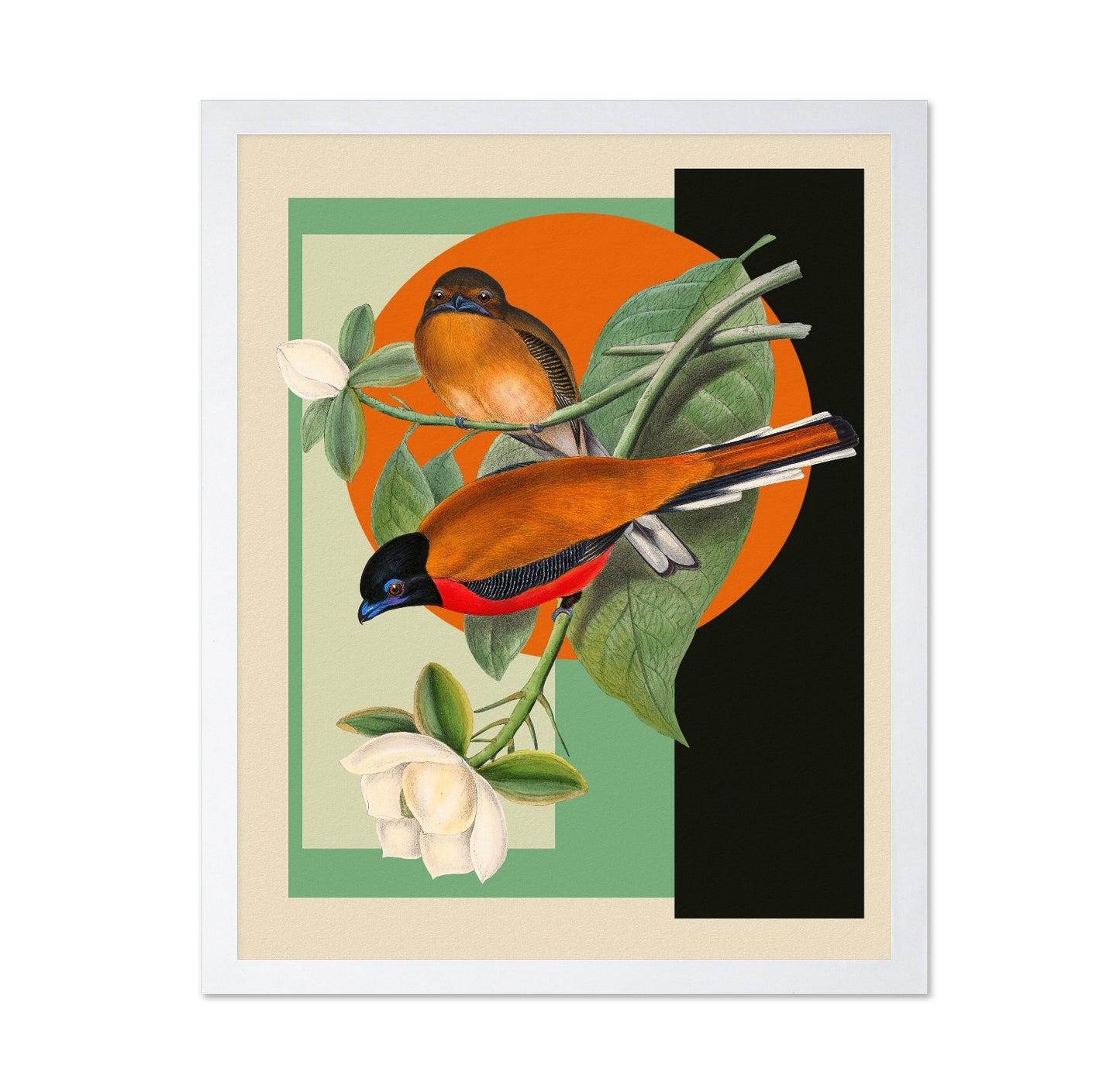 Twin Songbirds