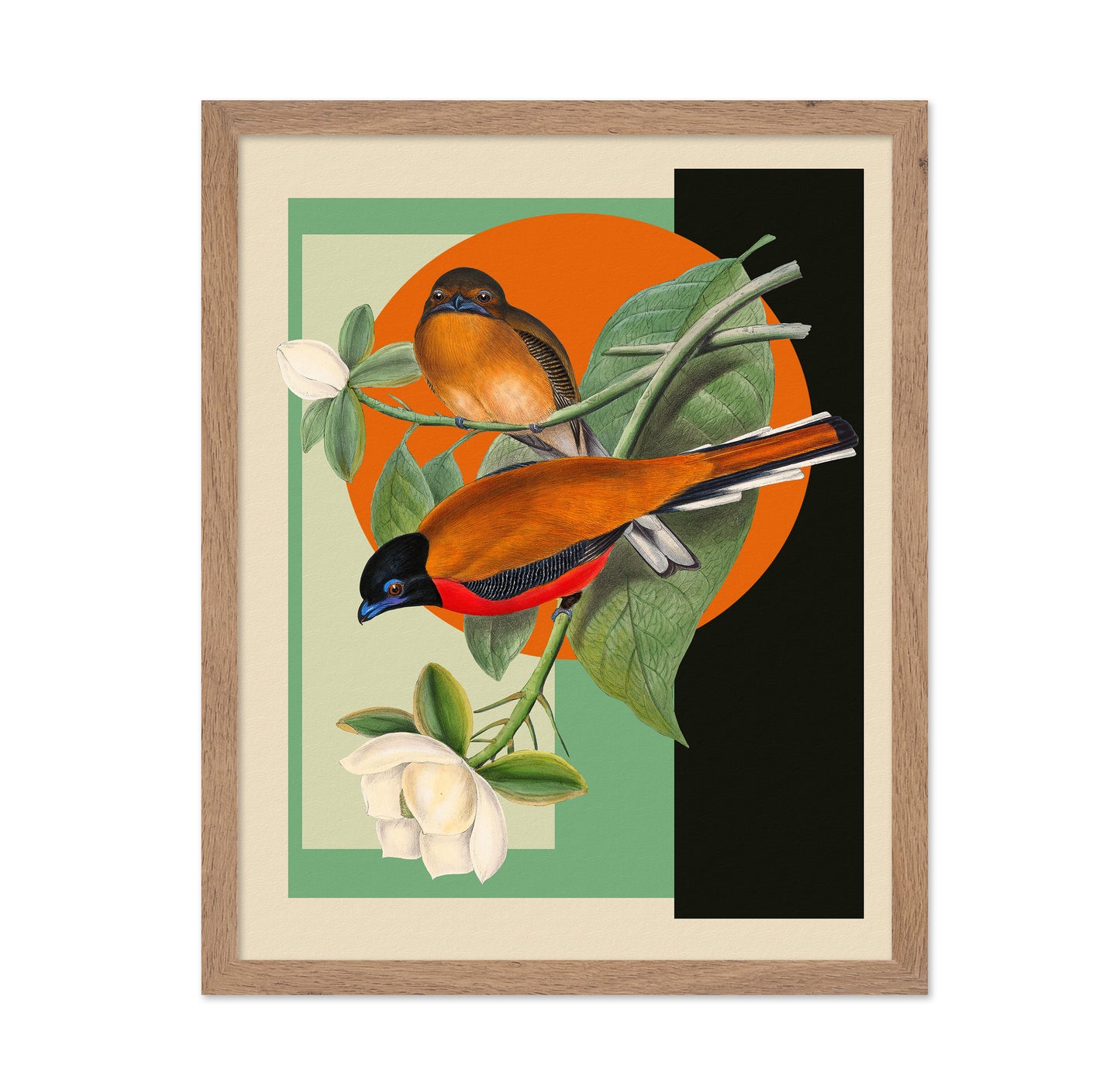 Twin Songbirds
