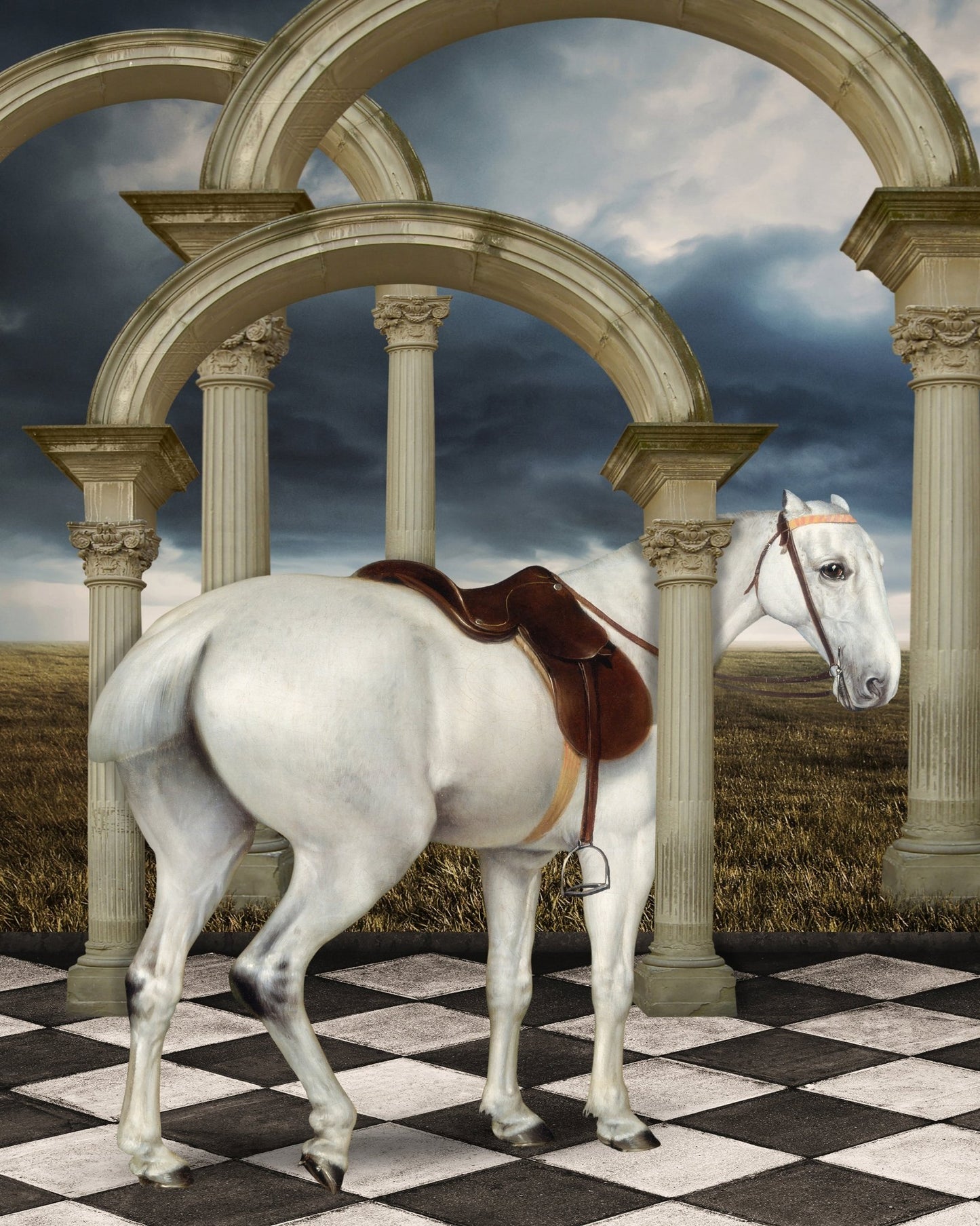 Grey Hunter Horse