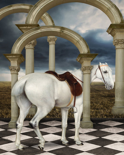 Grey Hunter Horse