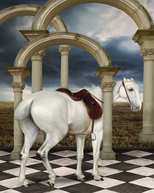 Grey Hunter Horse