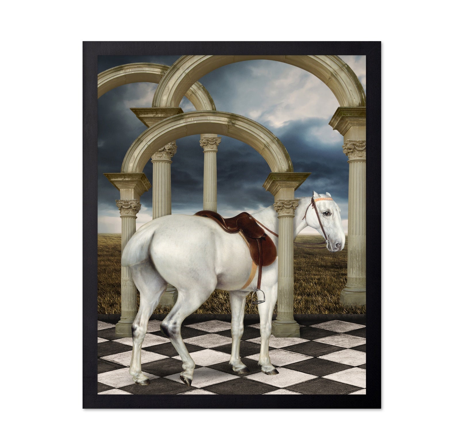 Grey Hunter Horse