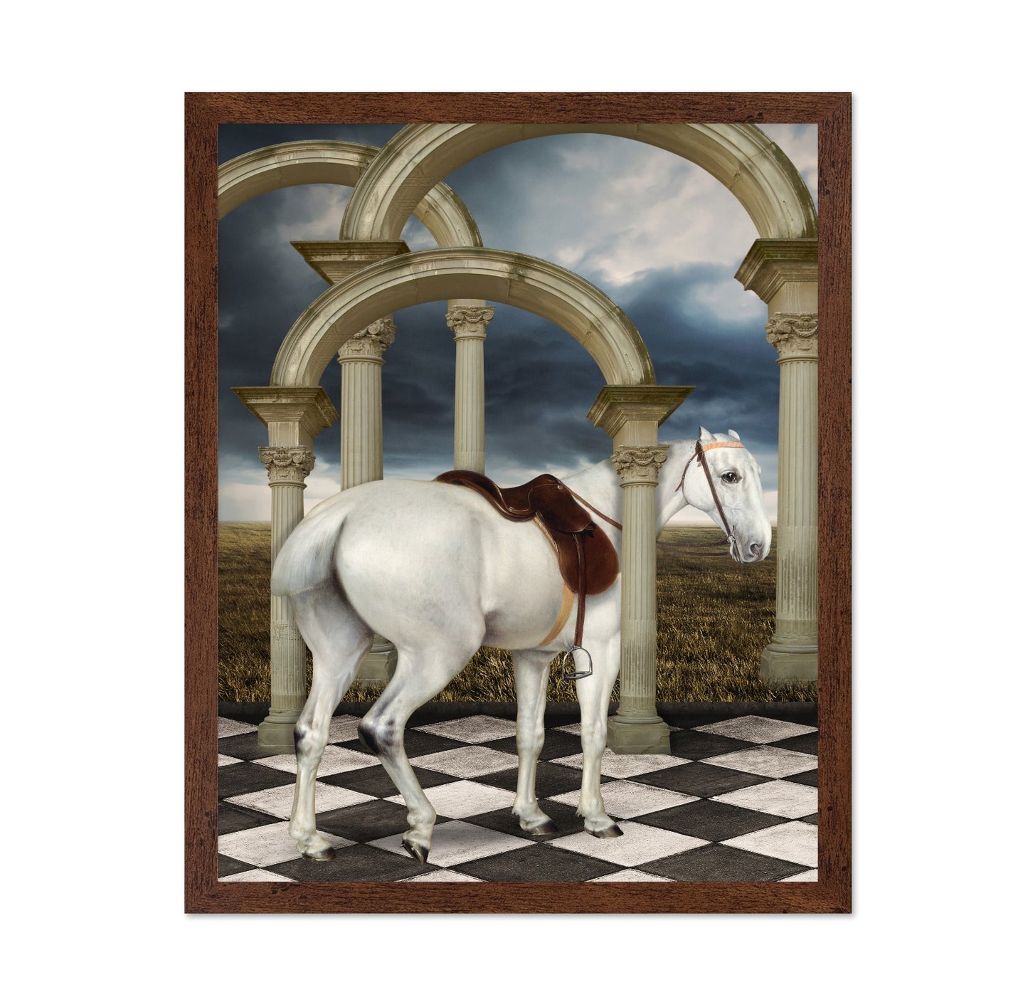 Grey Hunter Horse