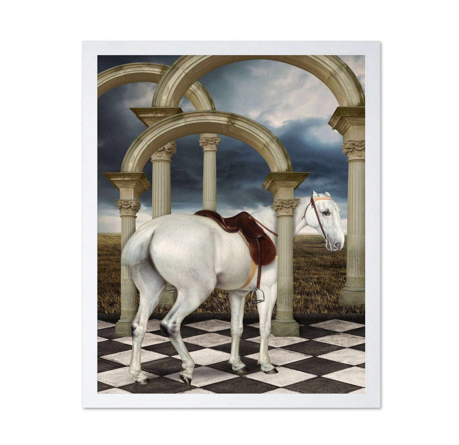 Grey Hunter Horse