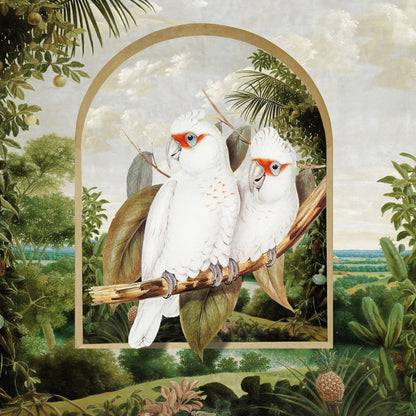 White Parrot Pair