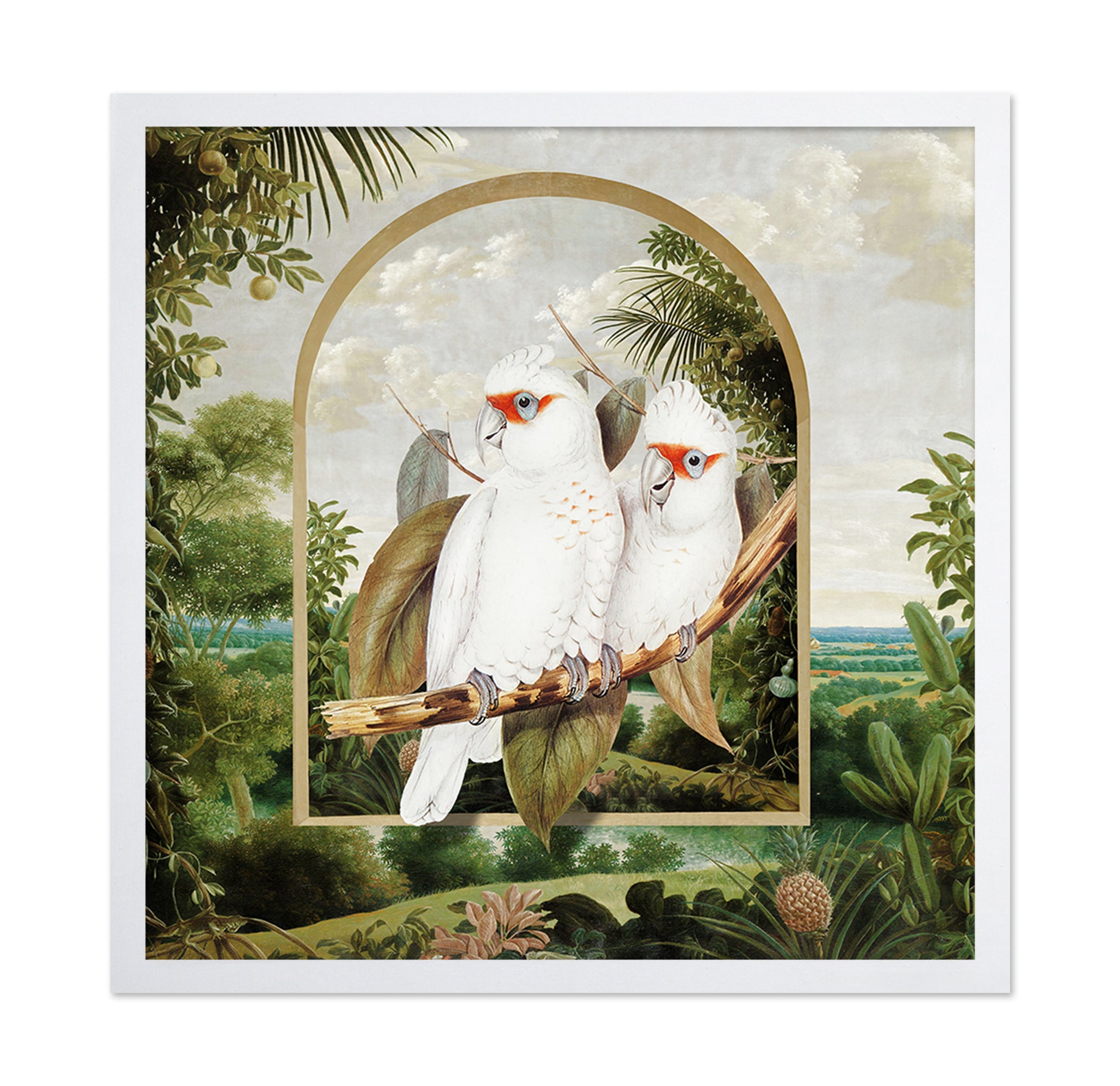 White Parrot Pair