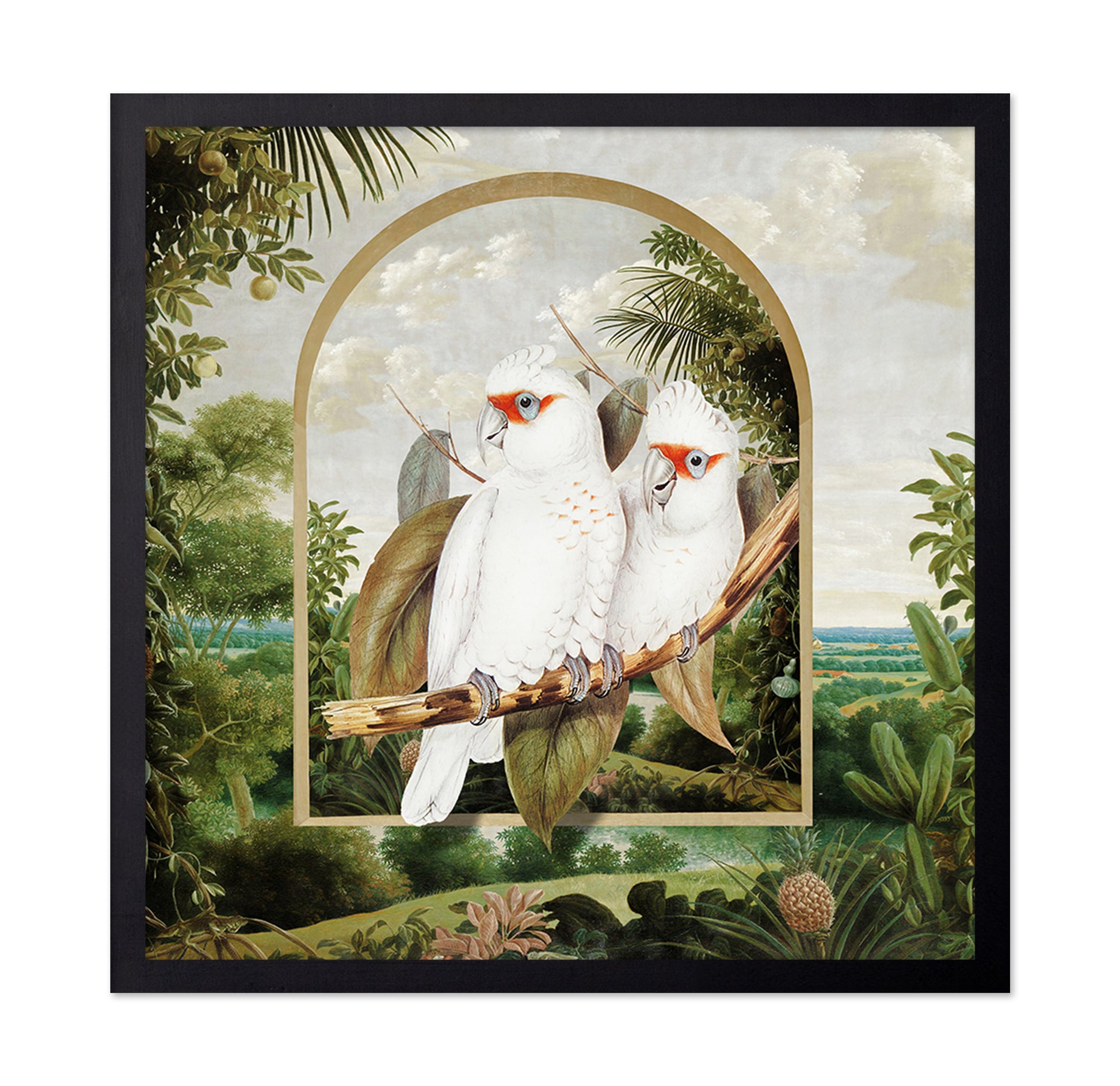 White Parrot Pair
