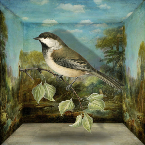 Forest Sparrow Scene
