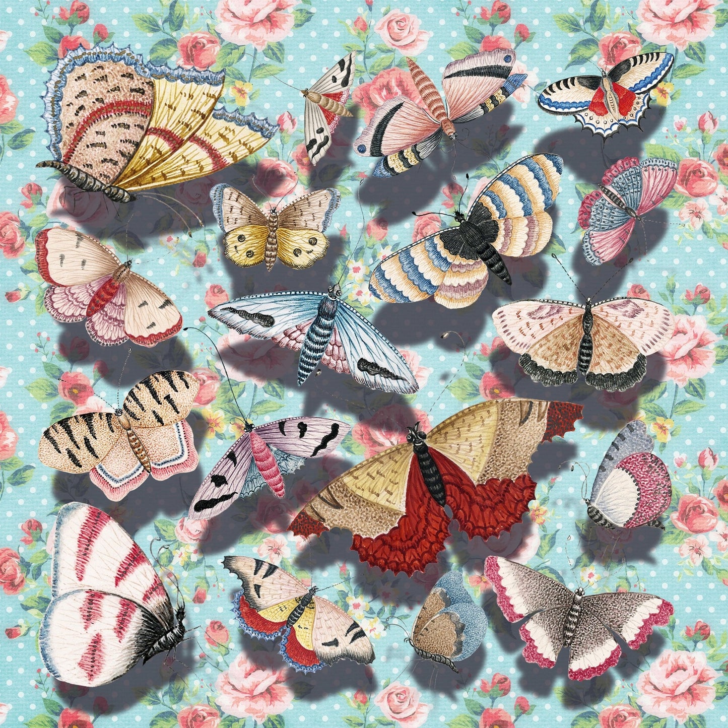 Vintage Butterfly Collection