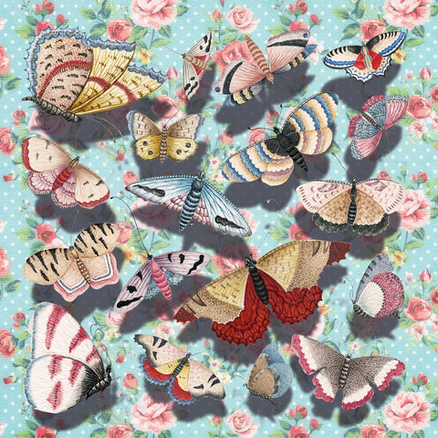 Vintage Butterfly Collection