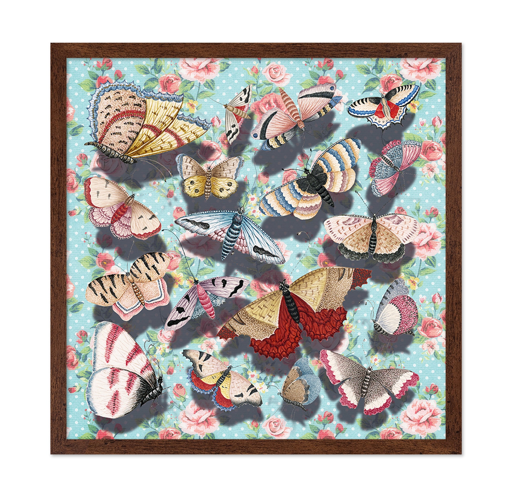 Vintage Butterfly Collection