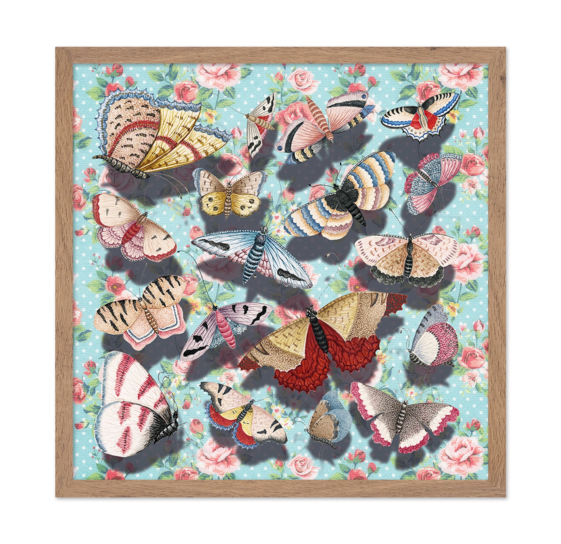 Vintage Butterfly Collection
