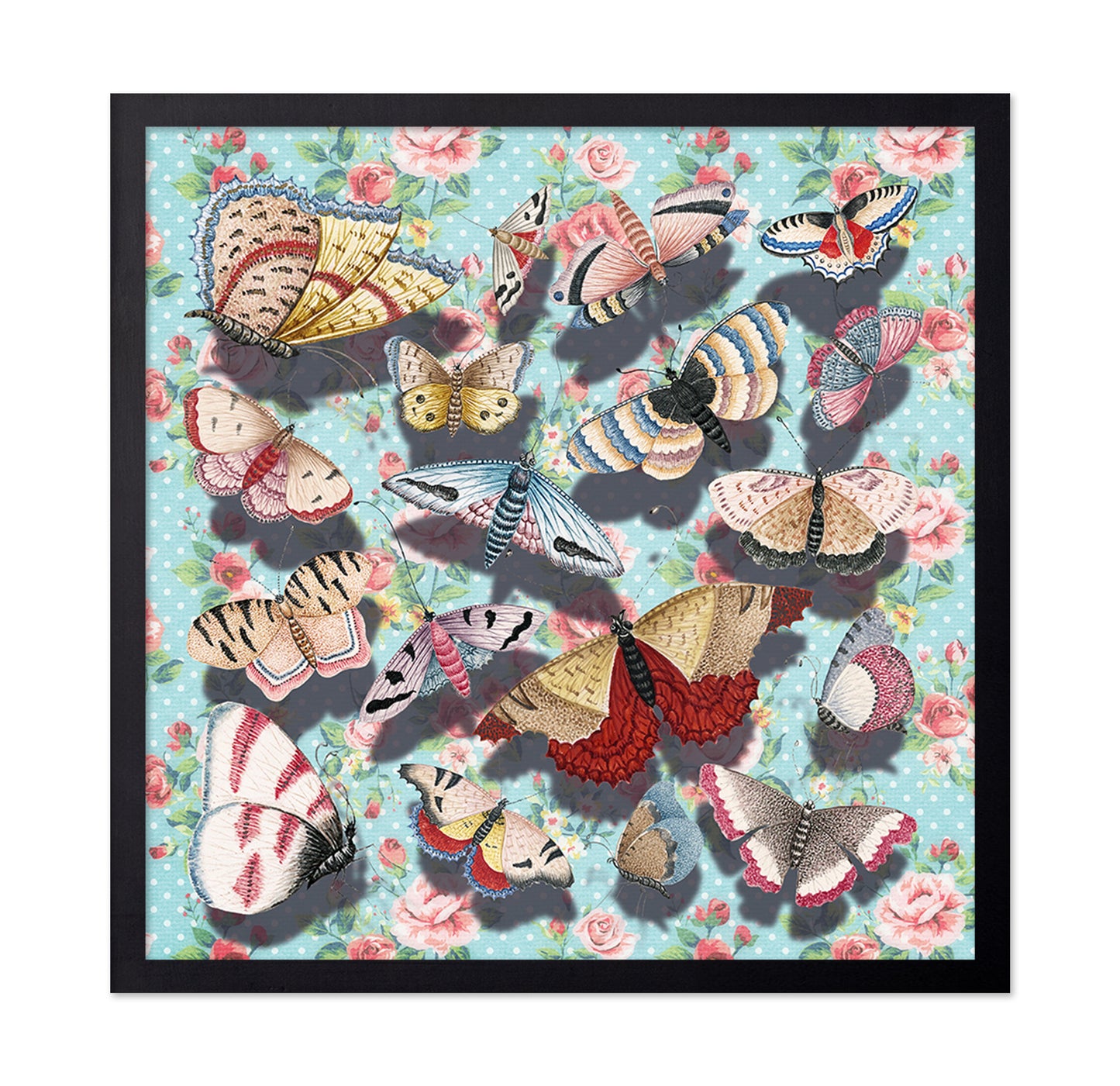 Vintage Butterfly Collection