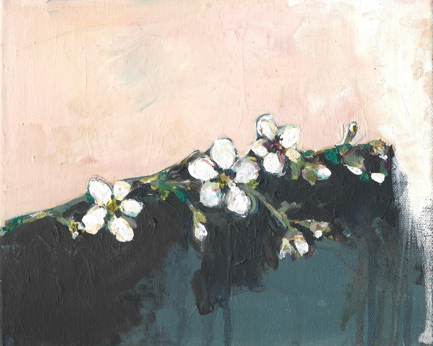 Soft Blossom Line