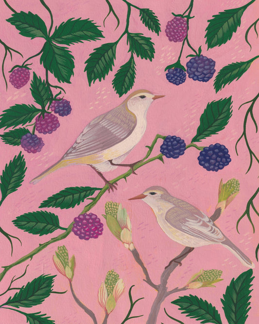 Songbirds And Berries