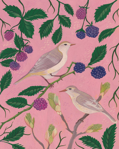 Songbirds And Berries