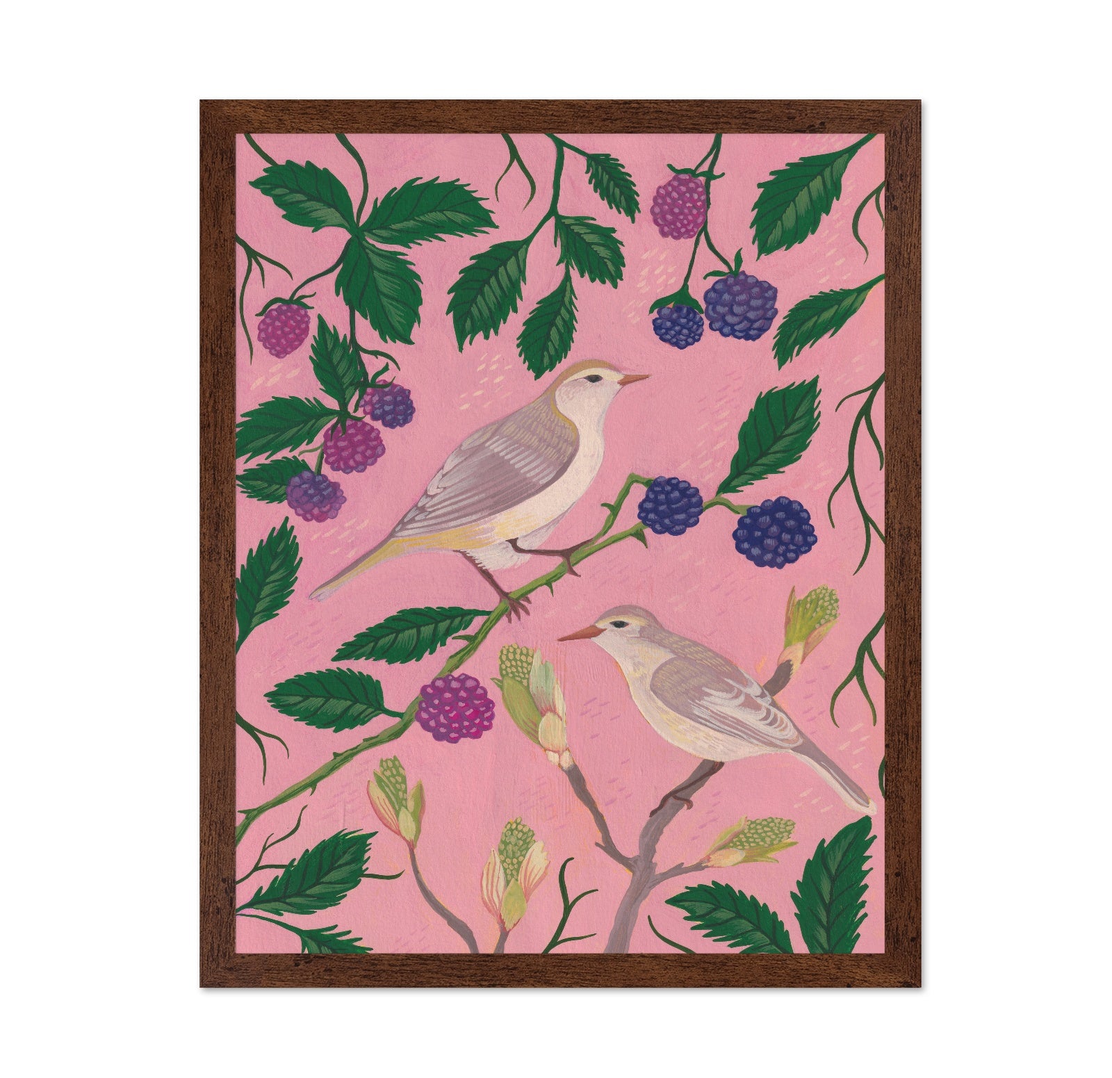Songbirds And Berries