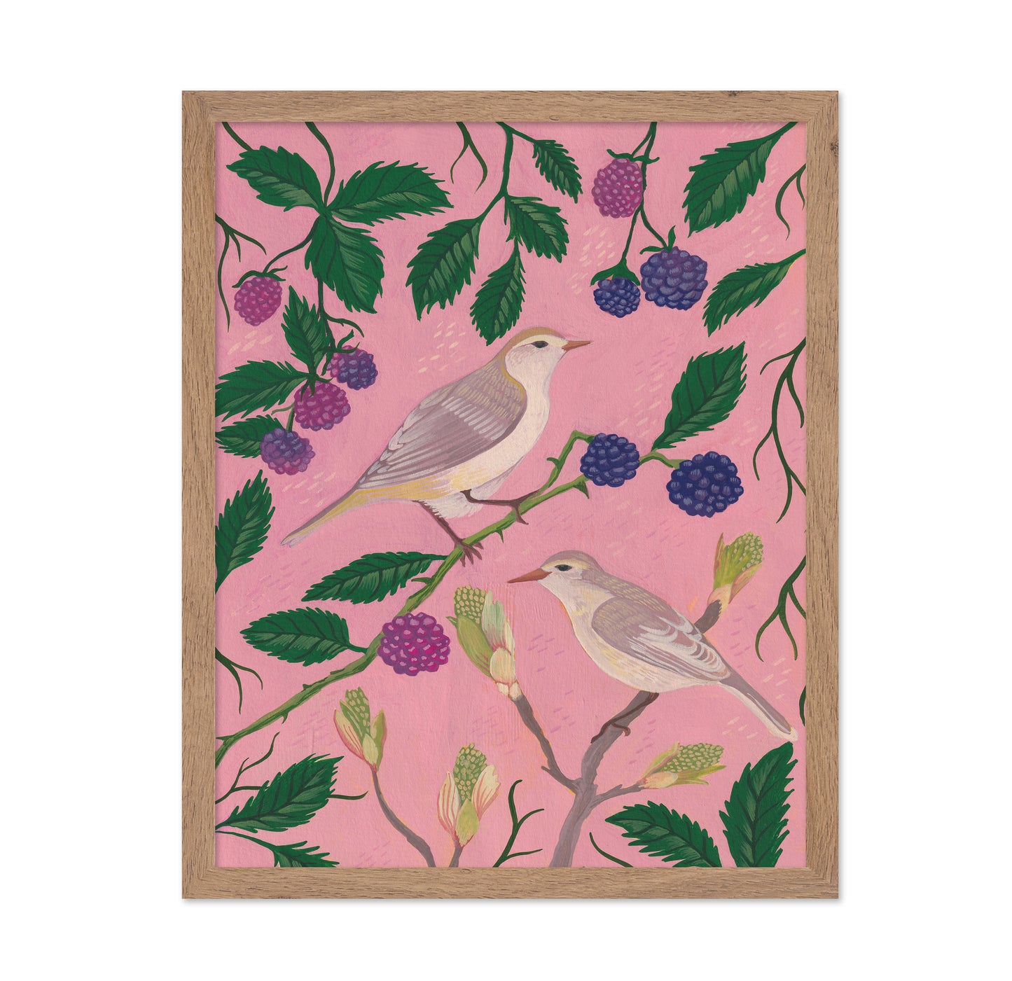 Songbirds And Berries